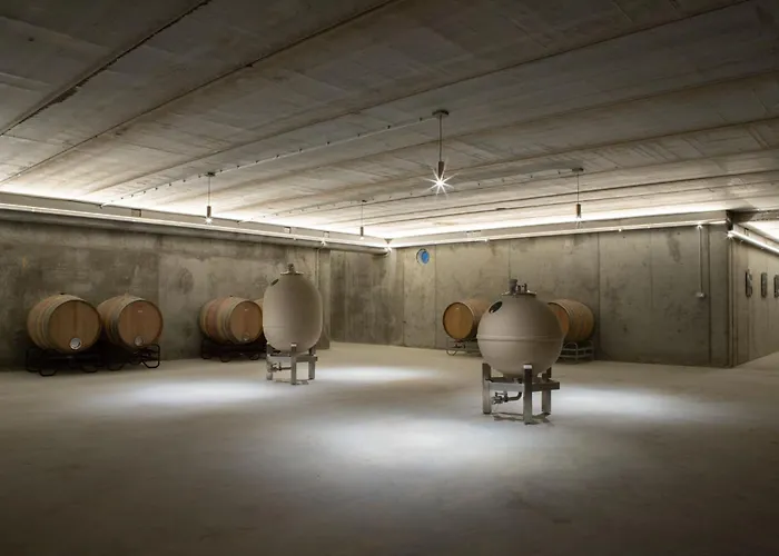 Bodega Díscolo