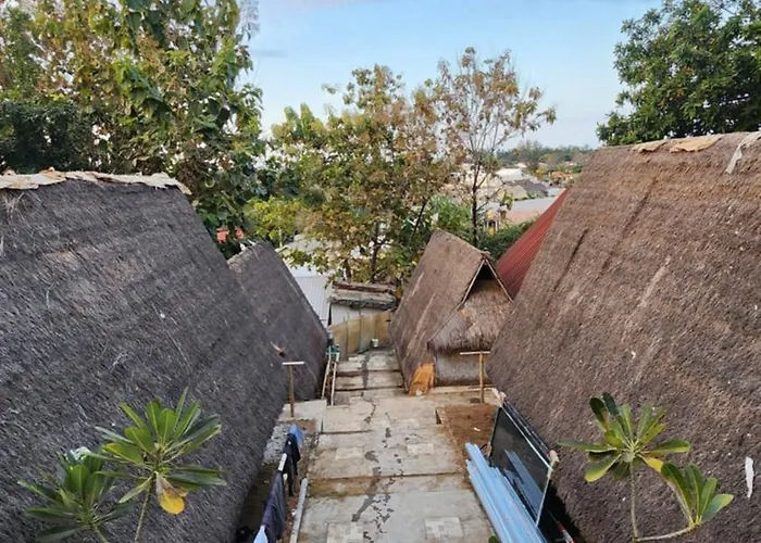 My Backpacker House