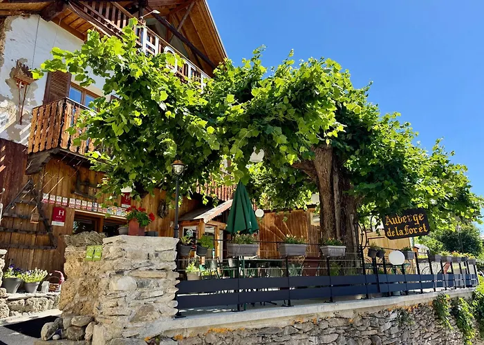 Auberge De La Forêt - Hôtel