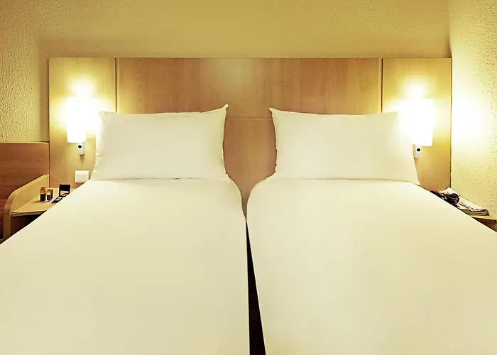Ibis Loriol Le Pouzin