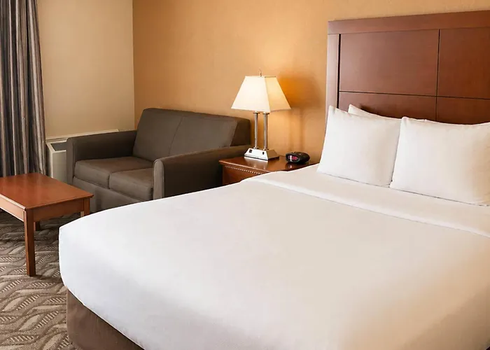 Comfort Inn & Suites Ambassador Bridge