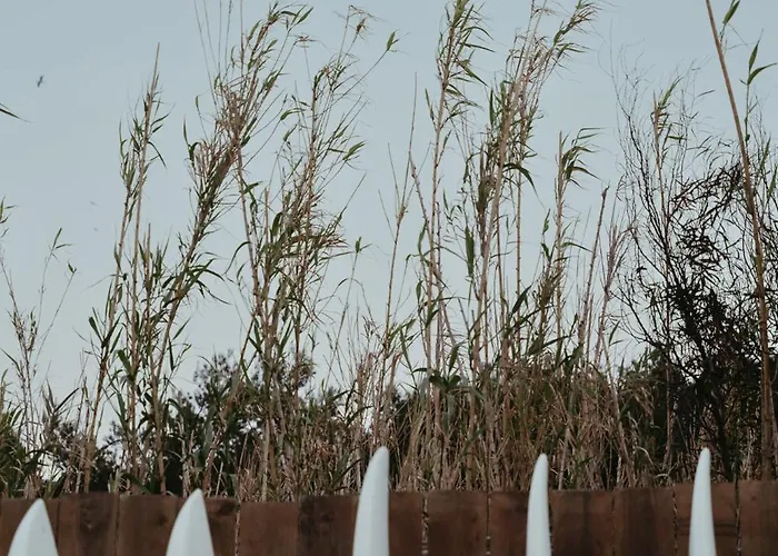 Le Domaine De La Mer - Beach Hotel Nature&Authenticite Hyeres