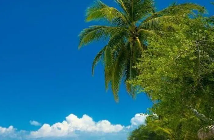 La Isla Bonita