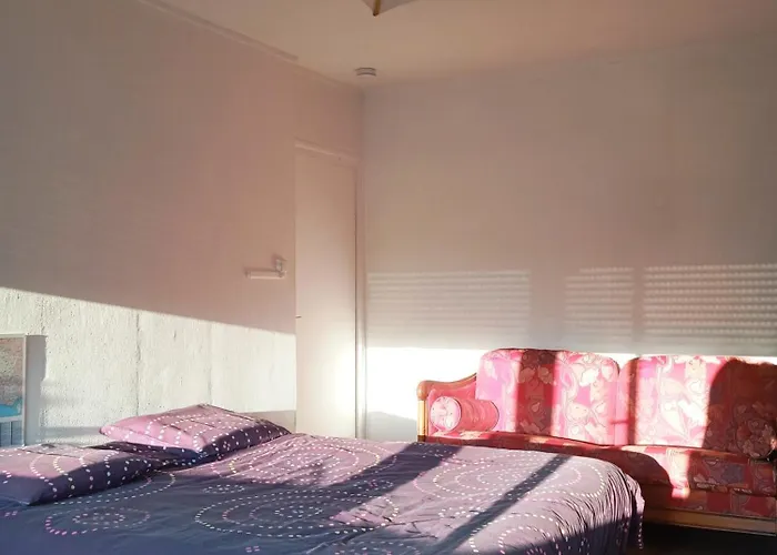 X1 Chambre Salon Dans Appartement T3 En Cohabitation