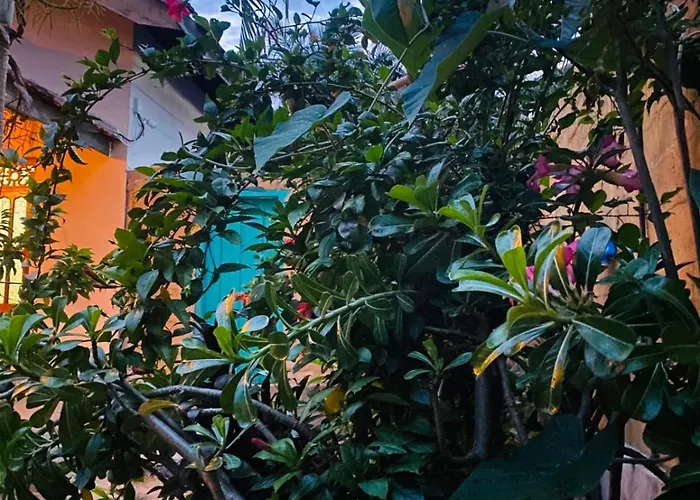 Serenza Retreat Villa