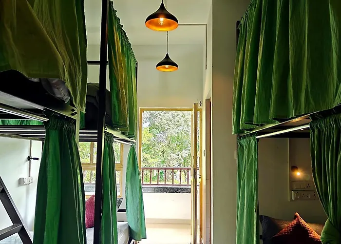 Roaming Souls Hostel Munnar