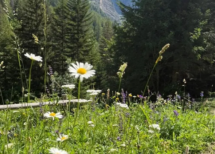 Gite Les Charancons Parc National Des Ecrins