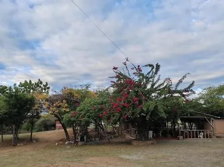 Bosque Real Zacapa