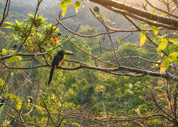 Finca Carpe Diem Ecolodge
