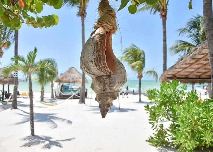 Amaite Holbox - Oceanfront Hotel