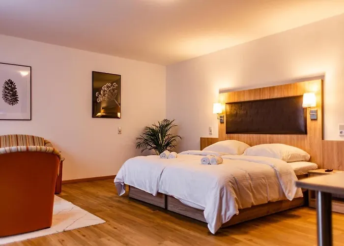 Motel Zur Dachsbaude
