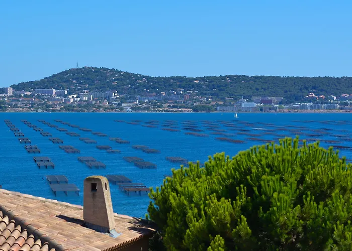 Brit Hotel Confort Helios Agde