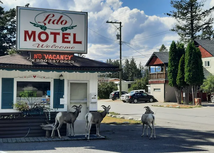 Lido Motel
