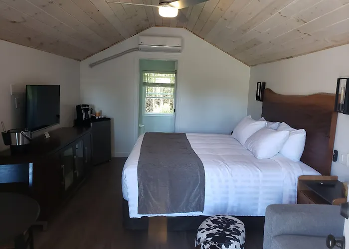 Adventure The Bruce Inn - Recently Renovated With Outdoor Hot Tub