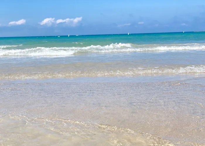 Paradise Inn On The Beach