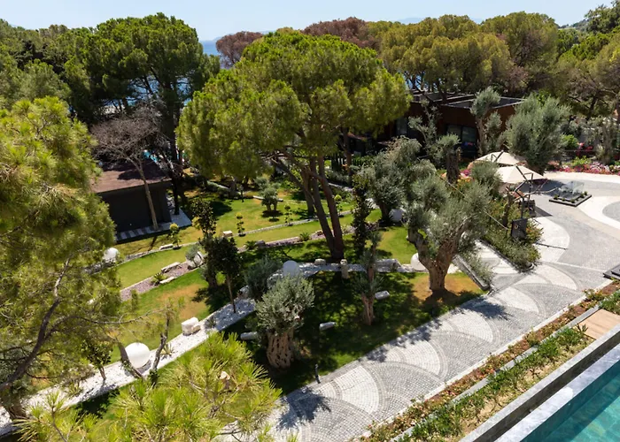 Unique Life Style Hotel