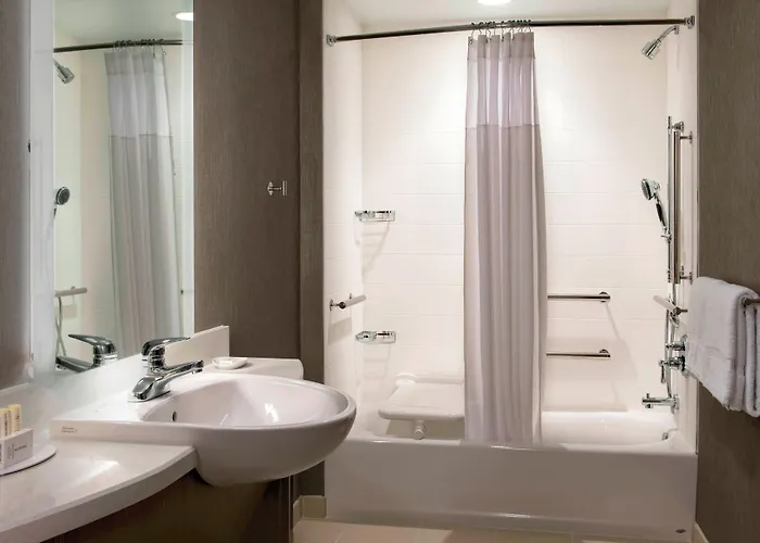 Springhill Suites By Marriott Tampa Suncoast Parkway