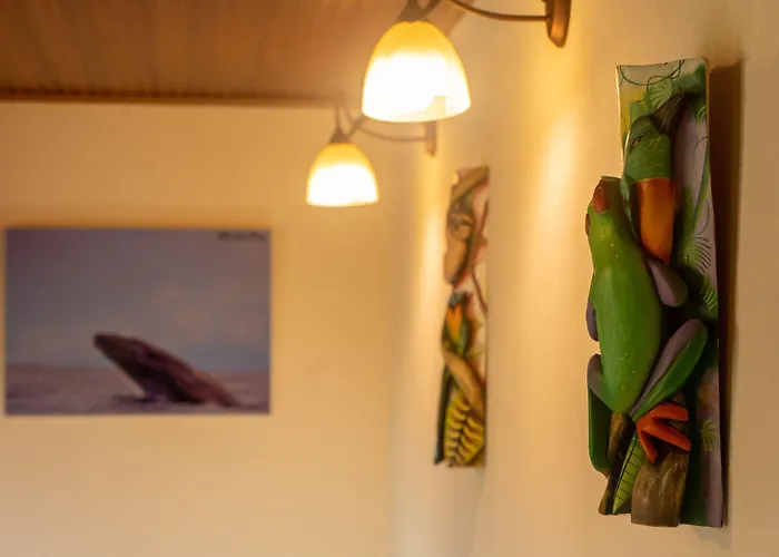 Jacamar Corcovado Drake Bay