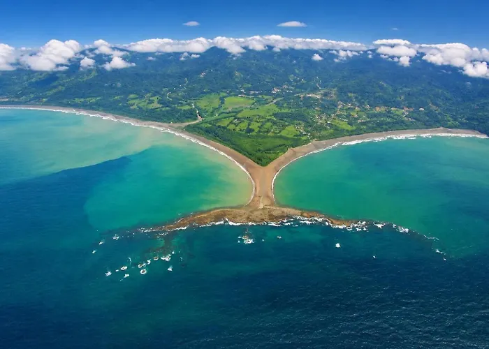 Ballena Rey Hotel
