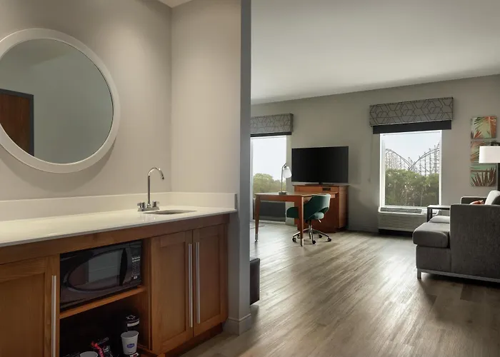Hampton Inn&Suites by Hilton Tampa Busch Gardens Area