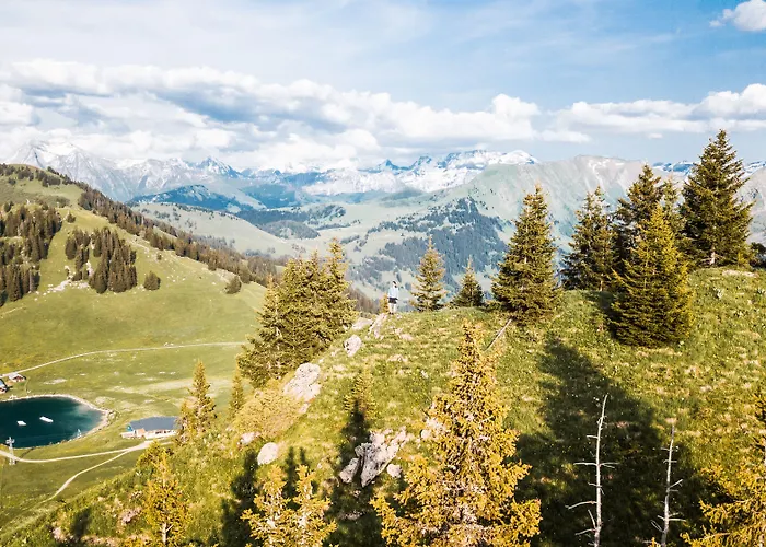Saanen Gstaad Youth Hostel