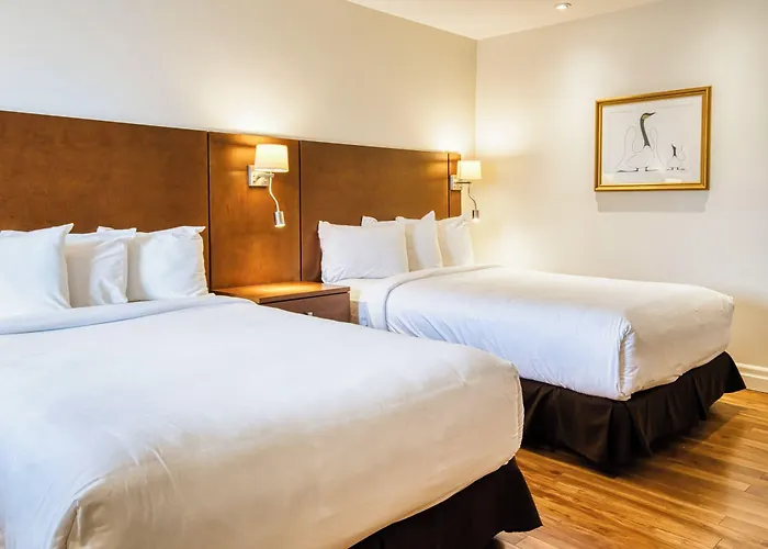 Motel Mistral