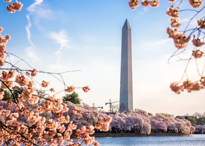 Staybridge Suites Washington D.C. - Greenbelt By Ihg