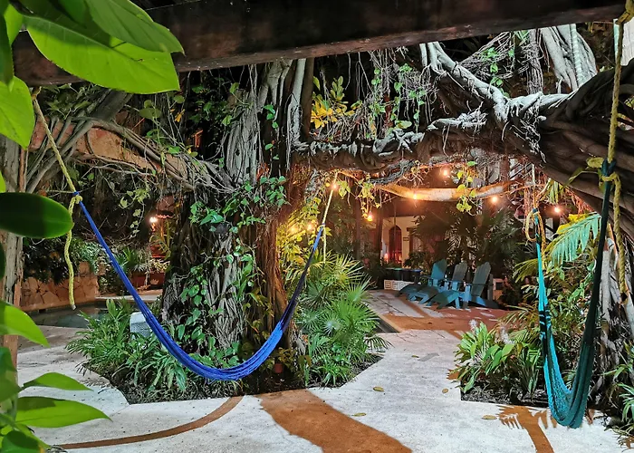 Eco-Hotel El Rey Del Caribe