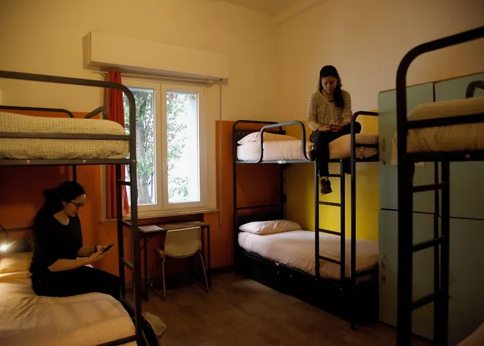 Sunflower City Student Hostel & Bar