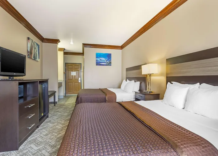Best Western Fort Worth Inn & Suites