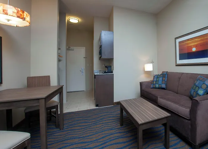 Holiday Inn Express Hotel & Suites Morgan City- Tiger Island By Ihg