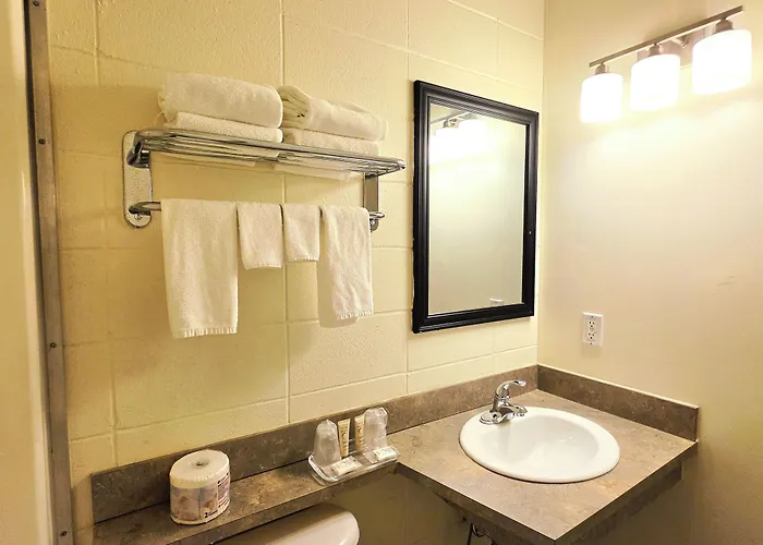 Canadian Motor Inn