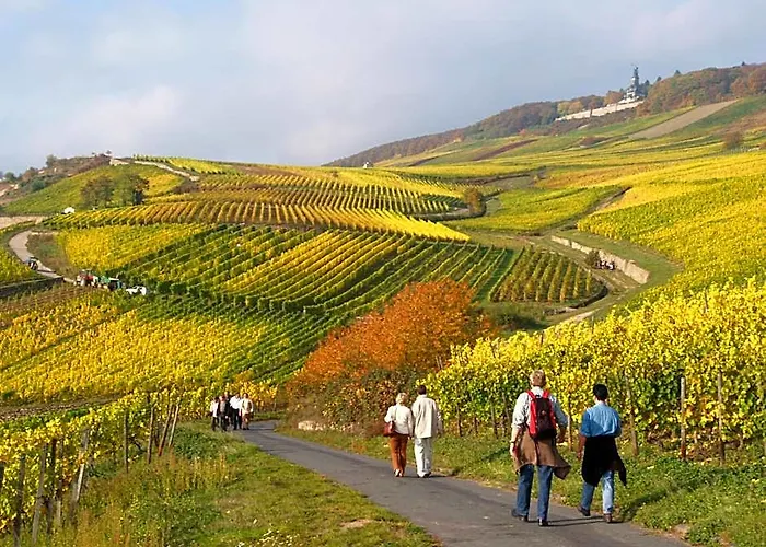 Weinhotel Des Riesling Zum Gruenen Kranz