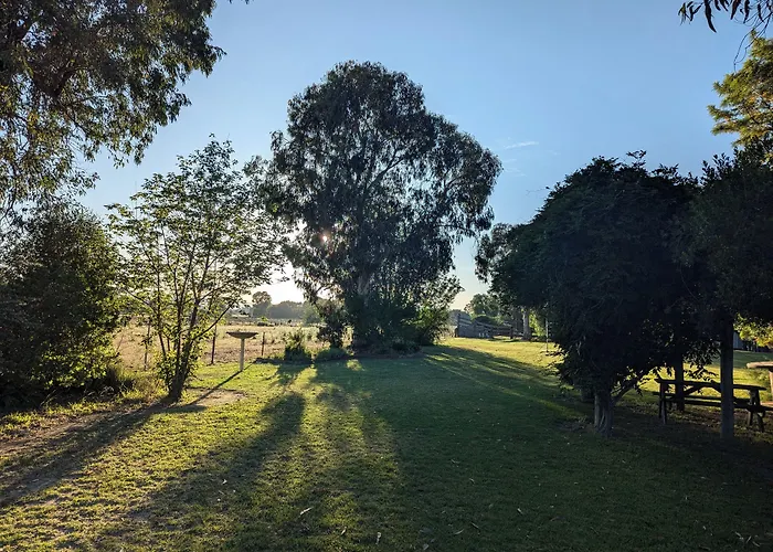 The Cudgee At Mudgee