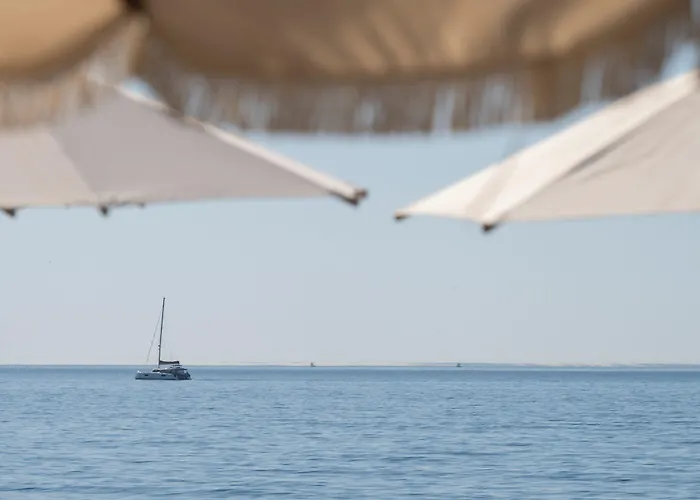 Mett Marbella Estepona