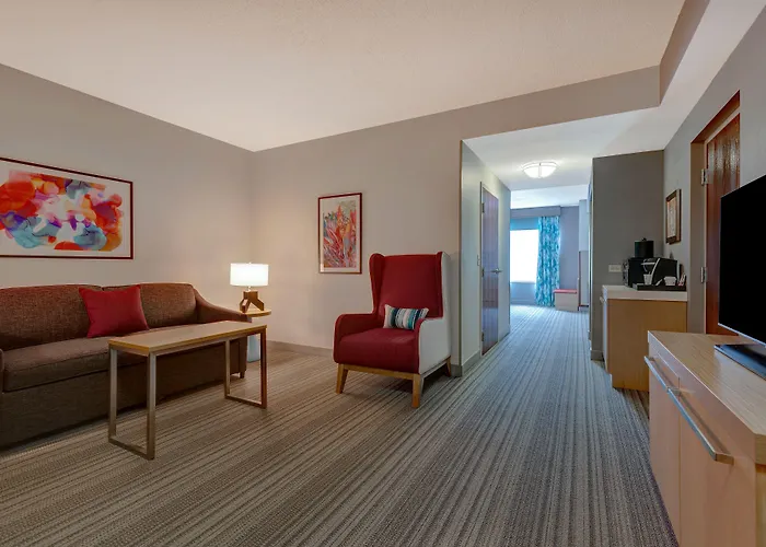 Hilton Garden Inn Tampa Northwest/Oldsmar
