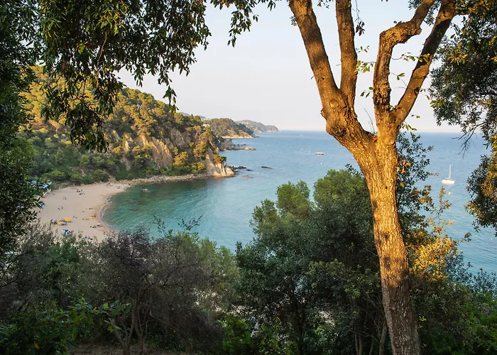 Hotel Lloret Santa Rosa By Pierre & Vacances