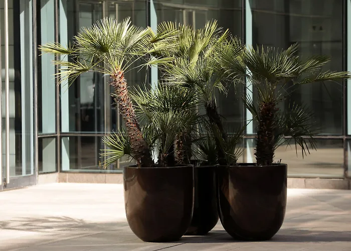 Park Hyatt Mendoza Hotel, Casino & Spa