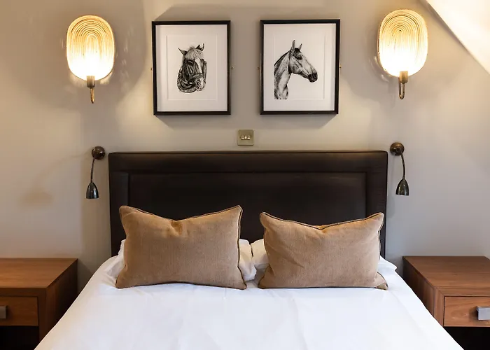 Stirrups Hotel