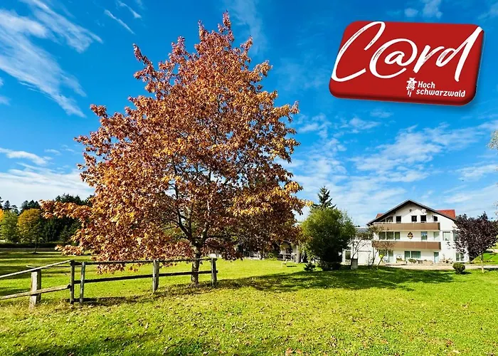 Landhotel Tanneneck - ideal für Gruppen, Familien und Hunde