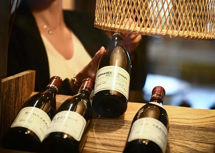 Ibis Beaune La Ferme Aux Vins