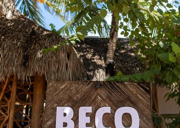 Ronco do Mar Jeri