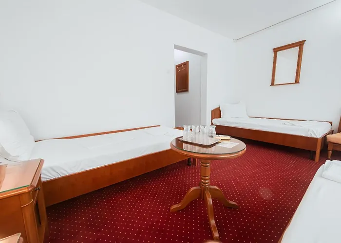 Hotel Scoica