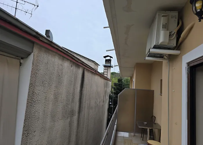 Spartacus House