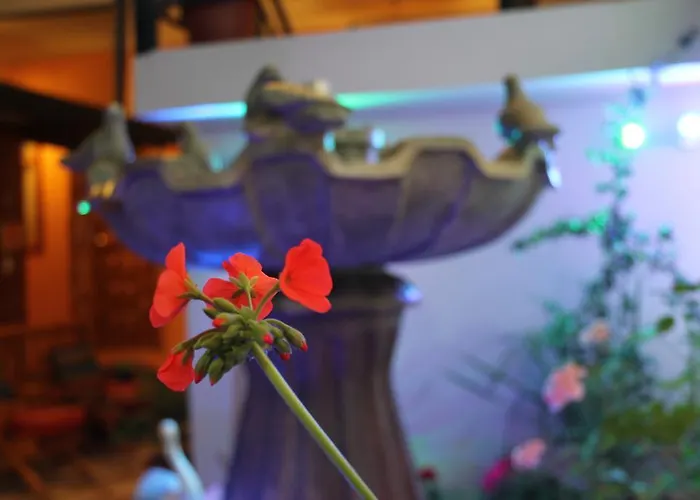 Hotel El Indio