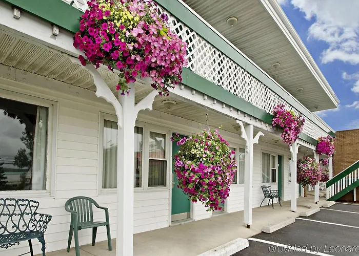 Econo Lodge Macpuffin