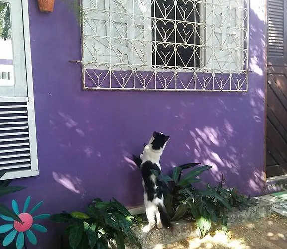 Margo House