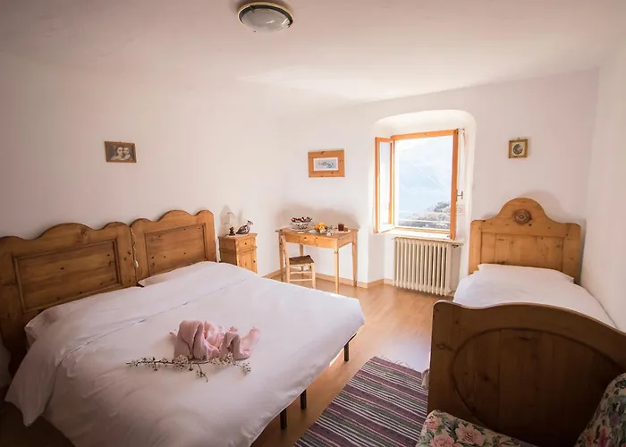 B&B Pregasina