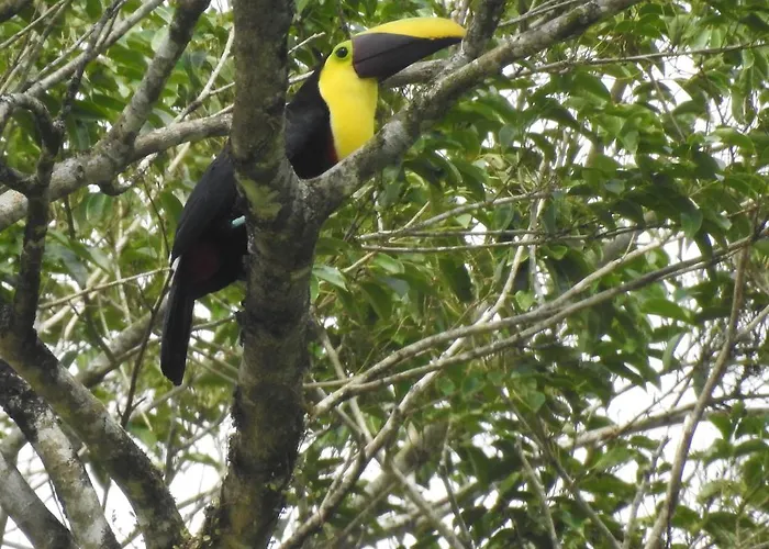 Rio Celeste Backpackers