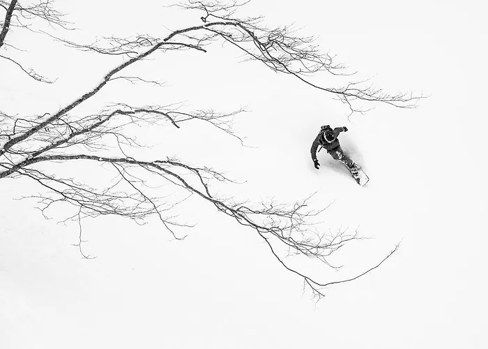 Morino Lodge - Hakuba